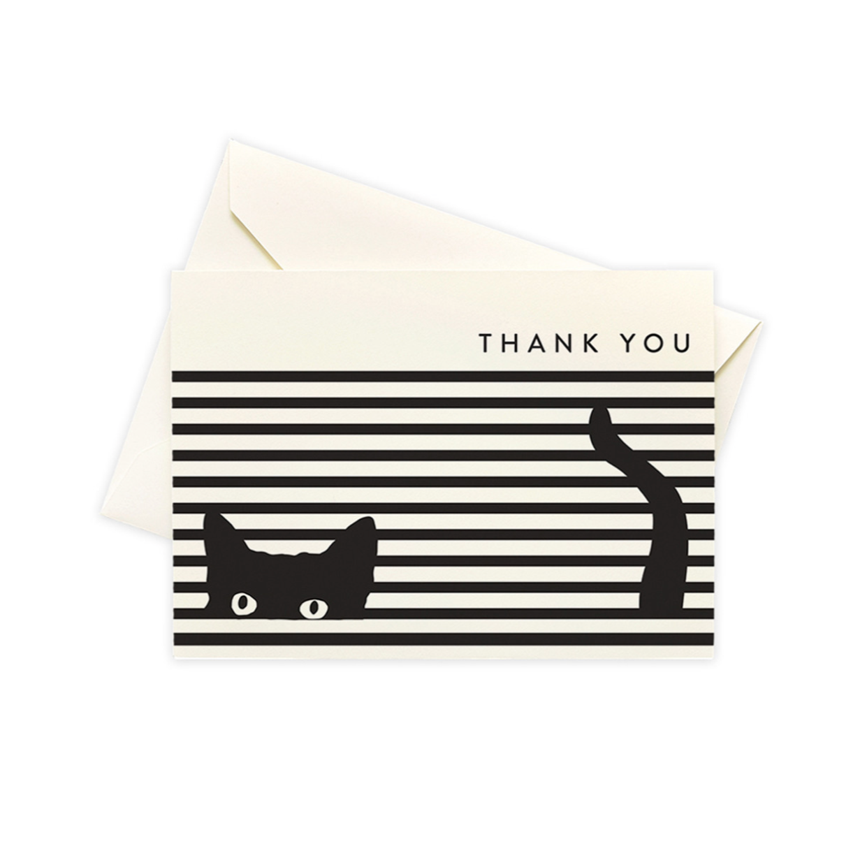 Cat Stripe Boxed Notes (Set of 10)