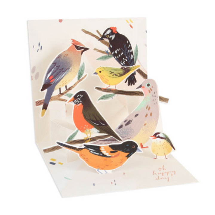 Backyard Birds Pop-up Card