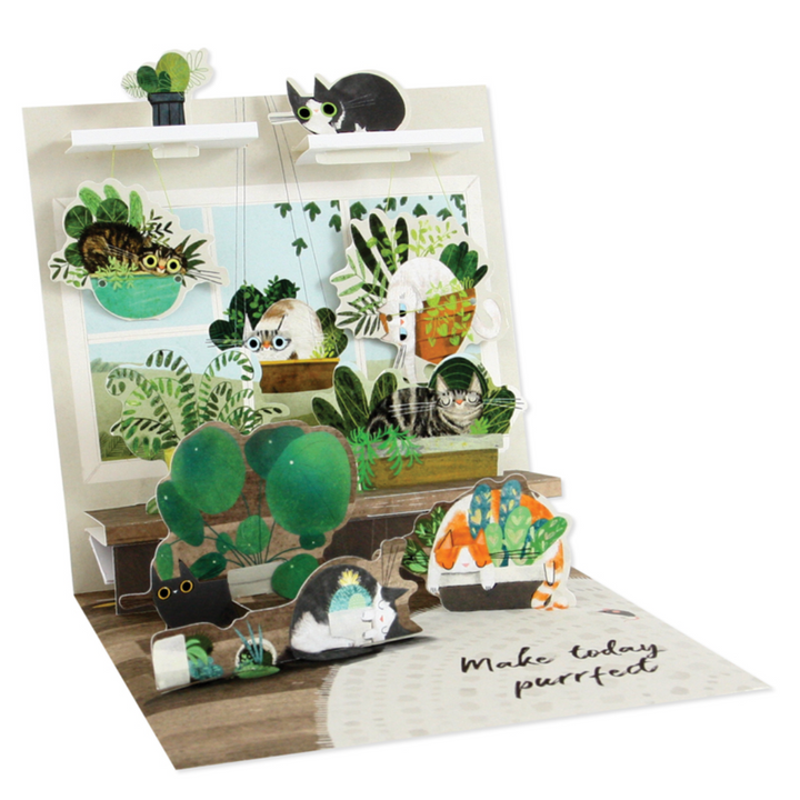 Cats in Plants Treasures Pop-up Card