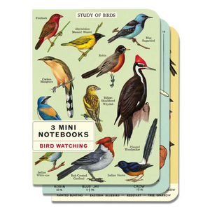 Mini Notebooks - Bird Watching