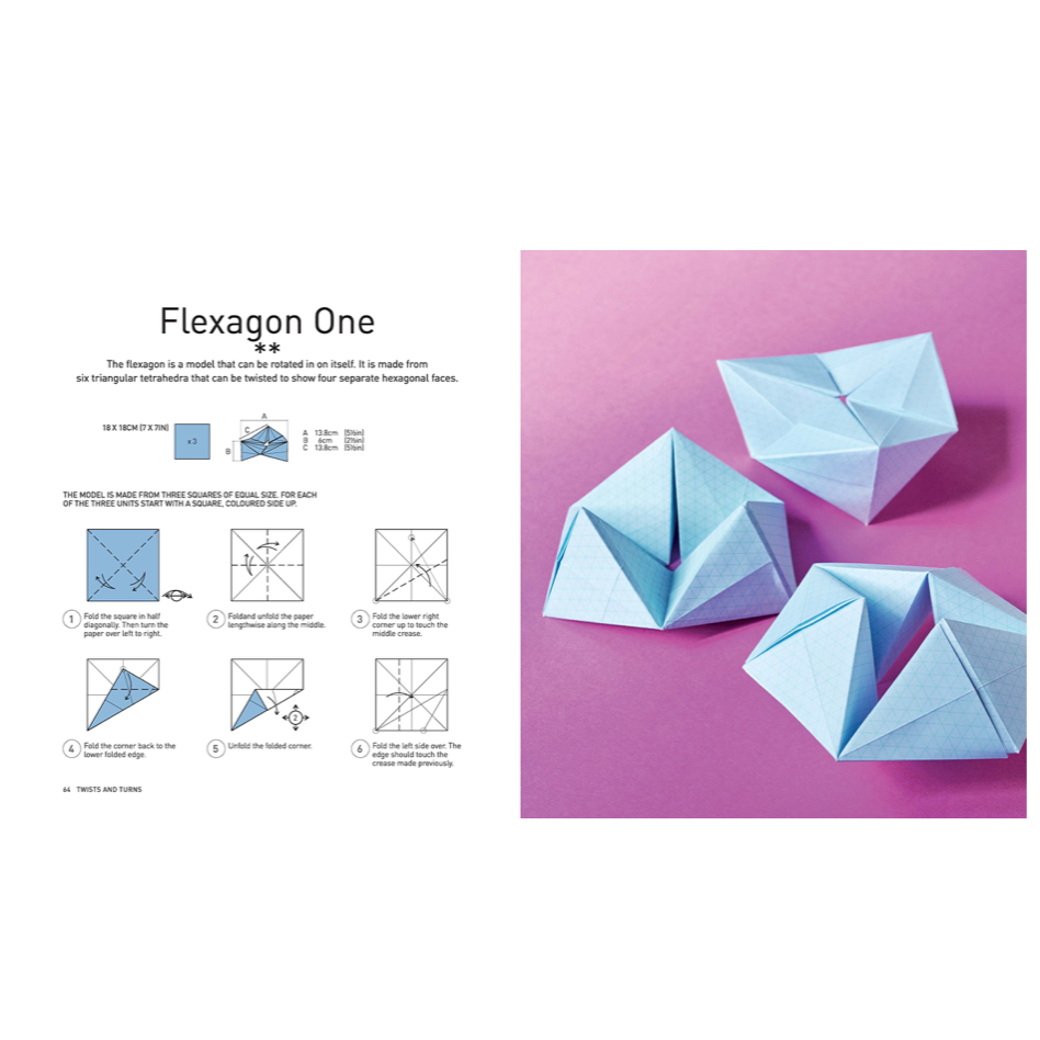 Art and Craft of Geometric Origami Book
