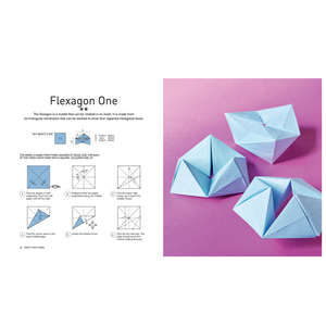 Art and Craft of Geometric Origami Book