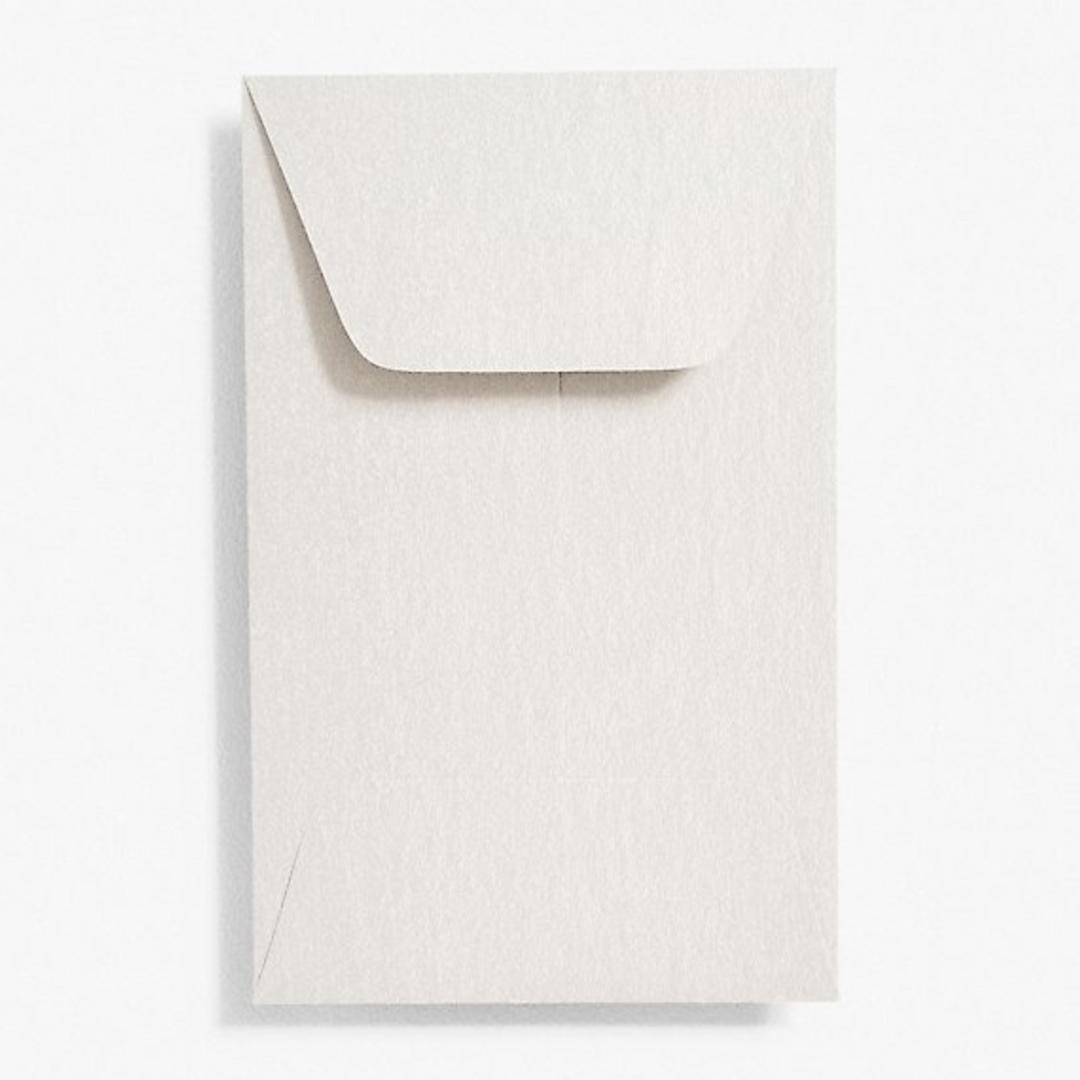 Coin Envelopes (Set of 20)