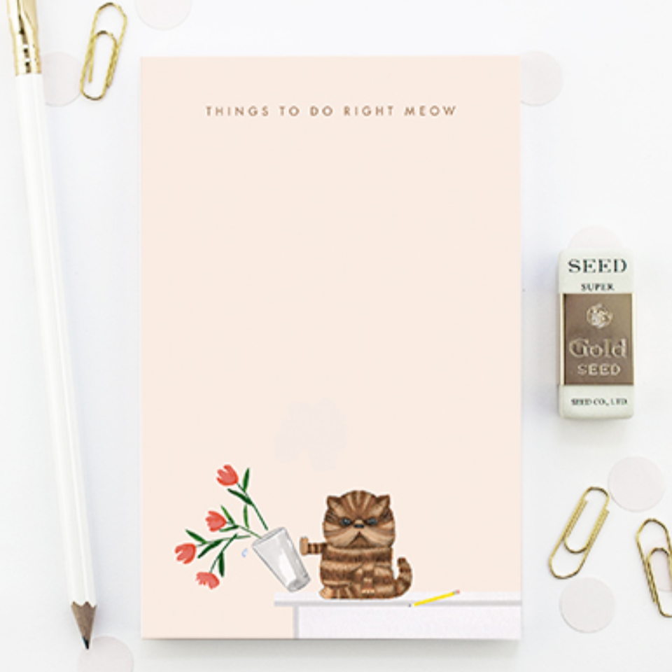 Things I Need to do Right Meow Notepad