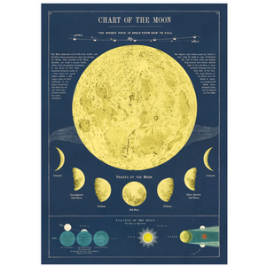 Cavallini Flat Wrap - Moon Chart