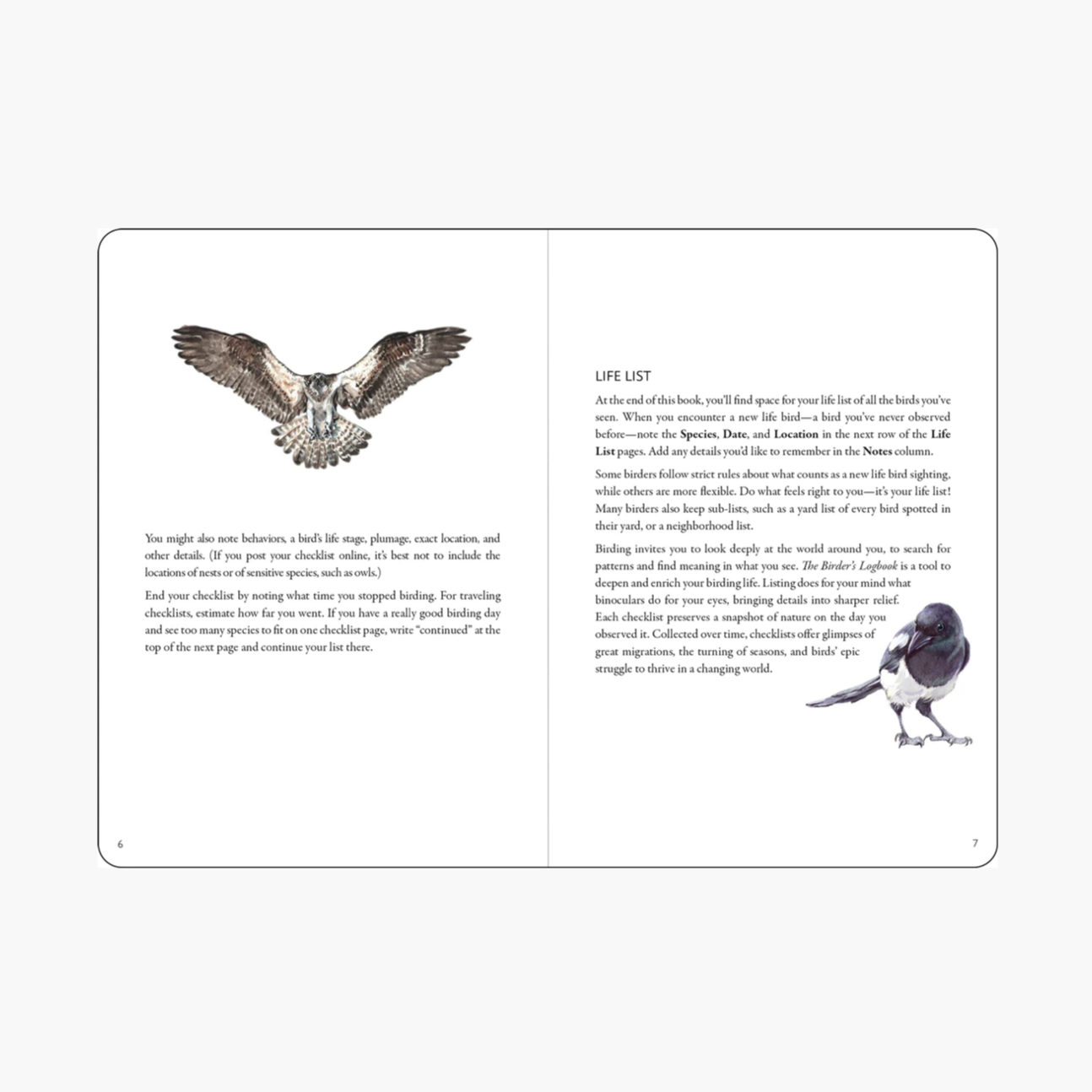 The Birder's Logbook