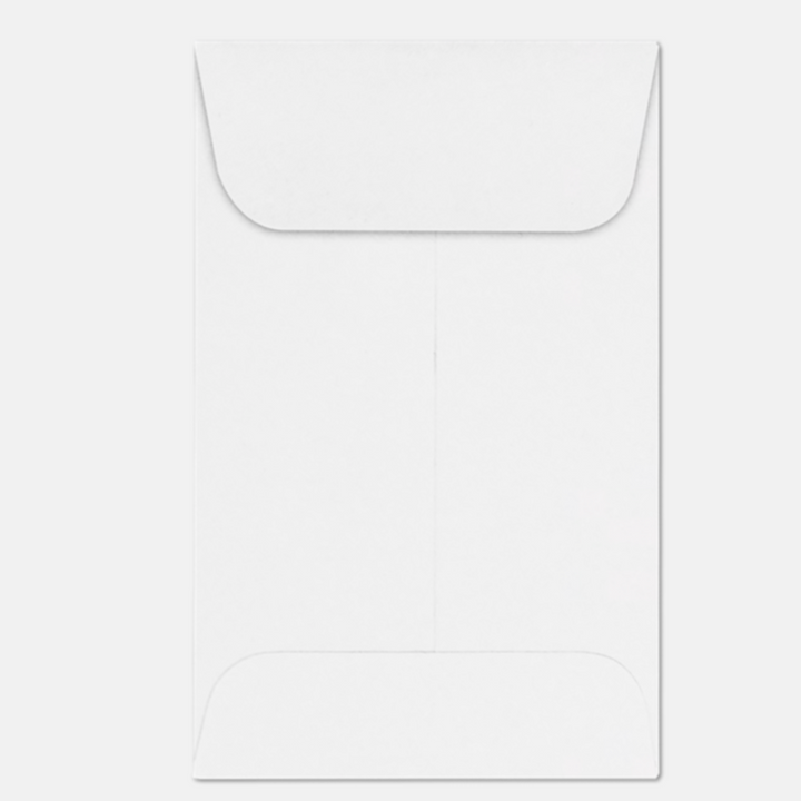 Coin Envelopes (Set of 20)