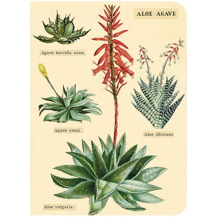 Mini Notebooks - Succulent
