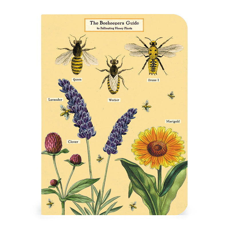 Mini Notebooks - Bees & Honey