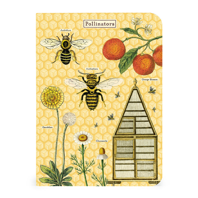 Mini Notebooks - Bees & Honey