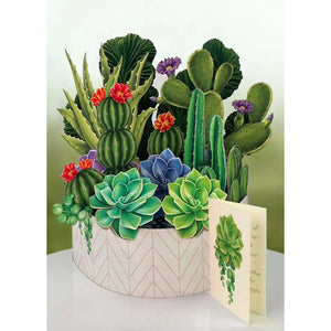 Cactus Garden