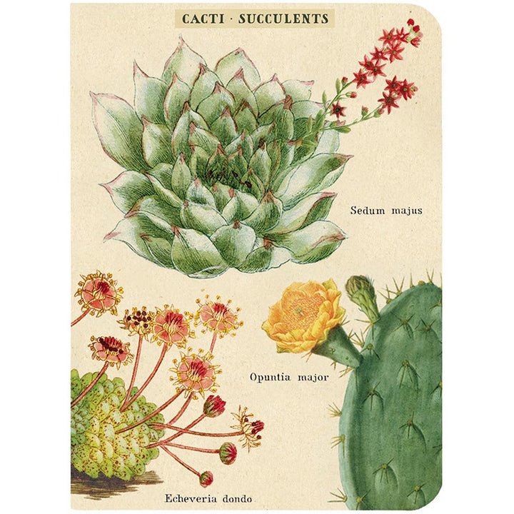 Mini Notebooks - Succulent