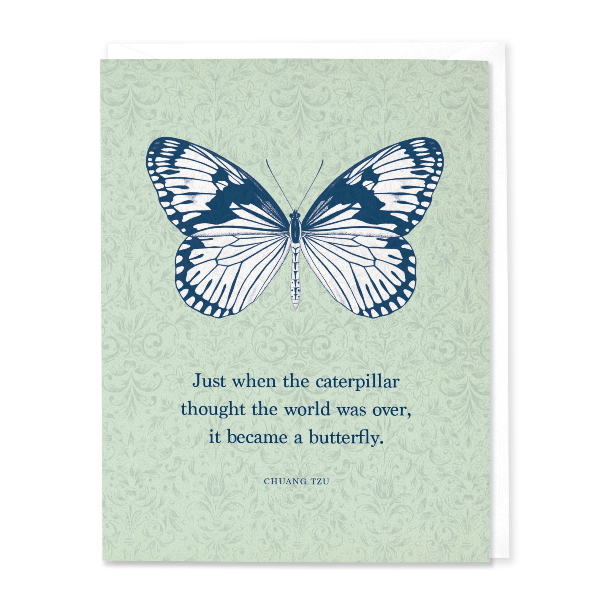 Caterpillar To Butterfly