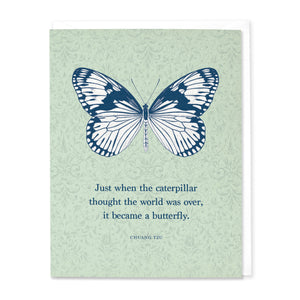 Caterpillar To Butterfly