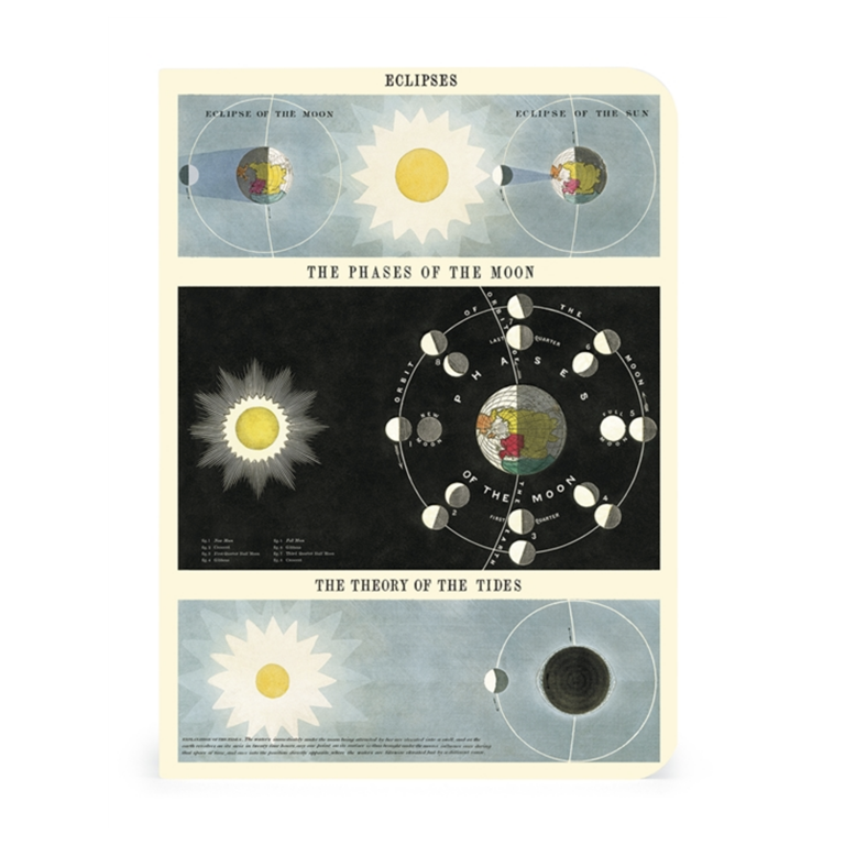 Mini Notebooks - Celestial