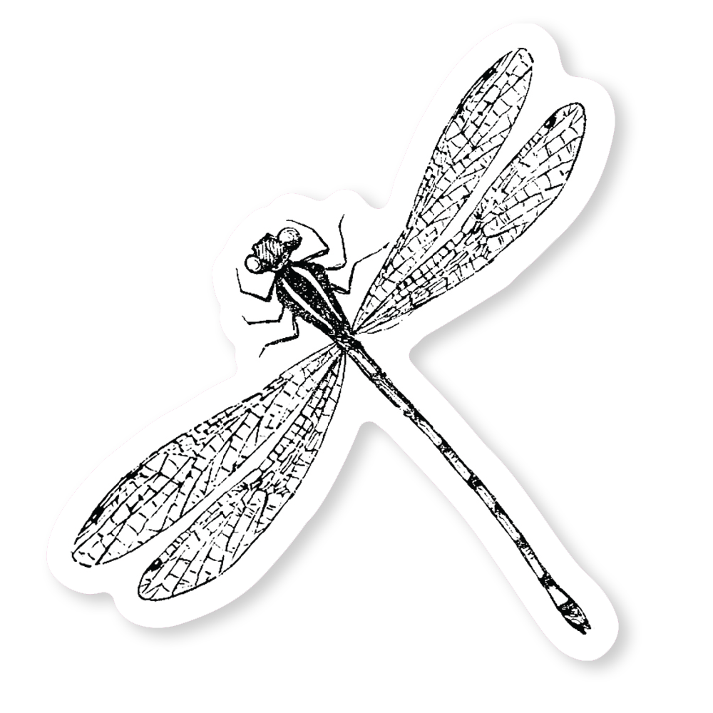 Dragonfly Sticker