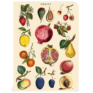 Mini Notebooks - Le Jardin