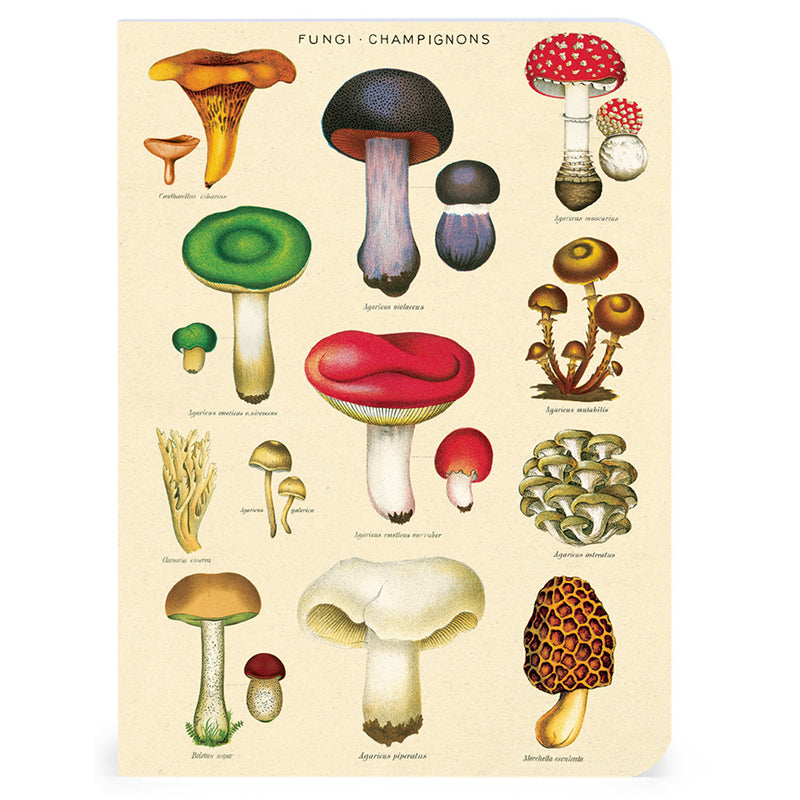 Mini Notebooks - Le Jardin