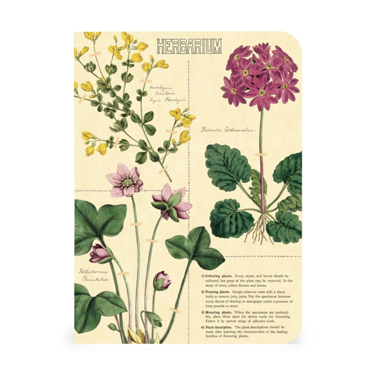 Mini Notebooks - Herbarium