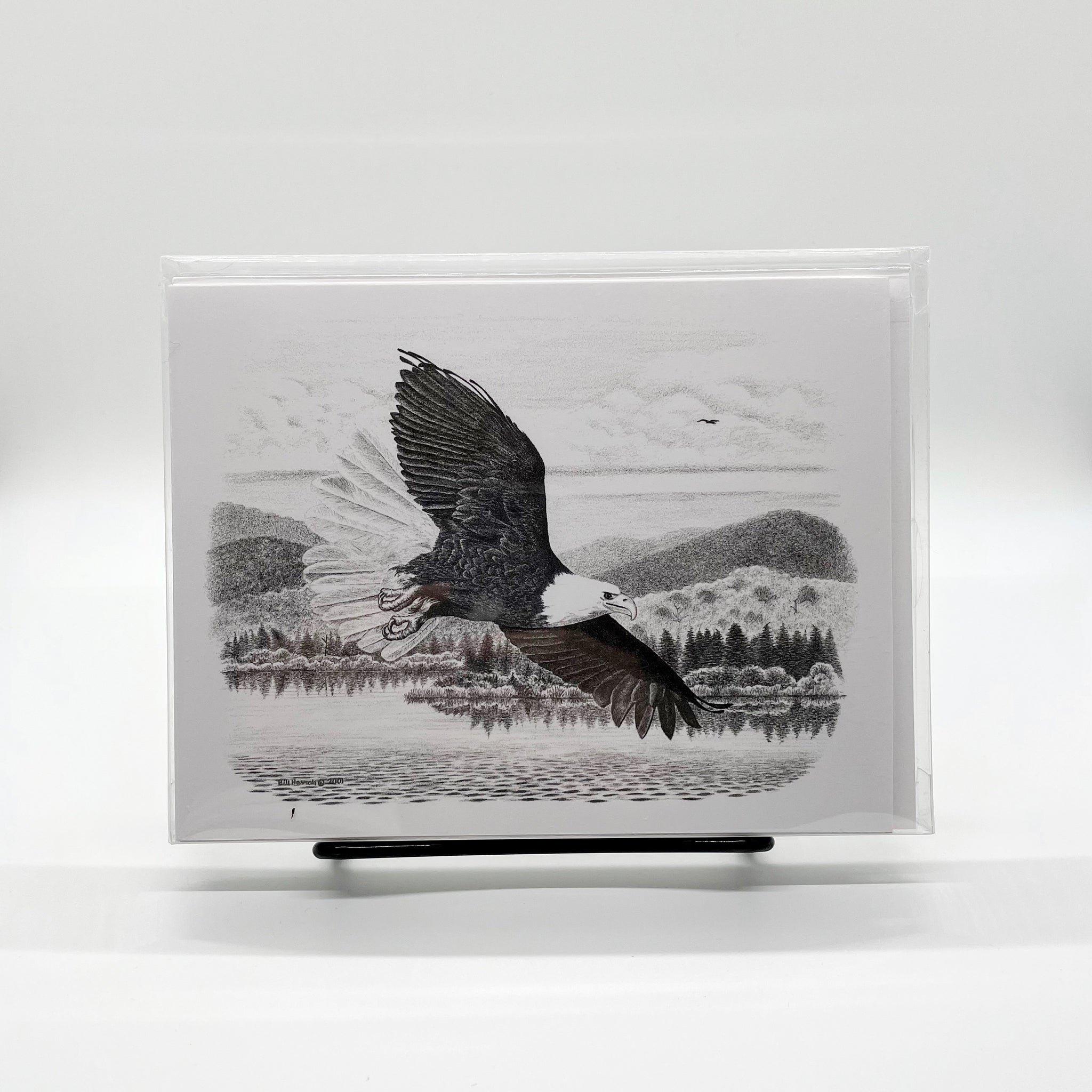 Bald Eagle in Flight Greeting Card - Set of 8