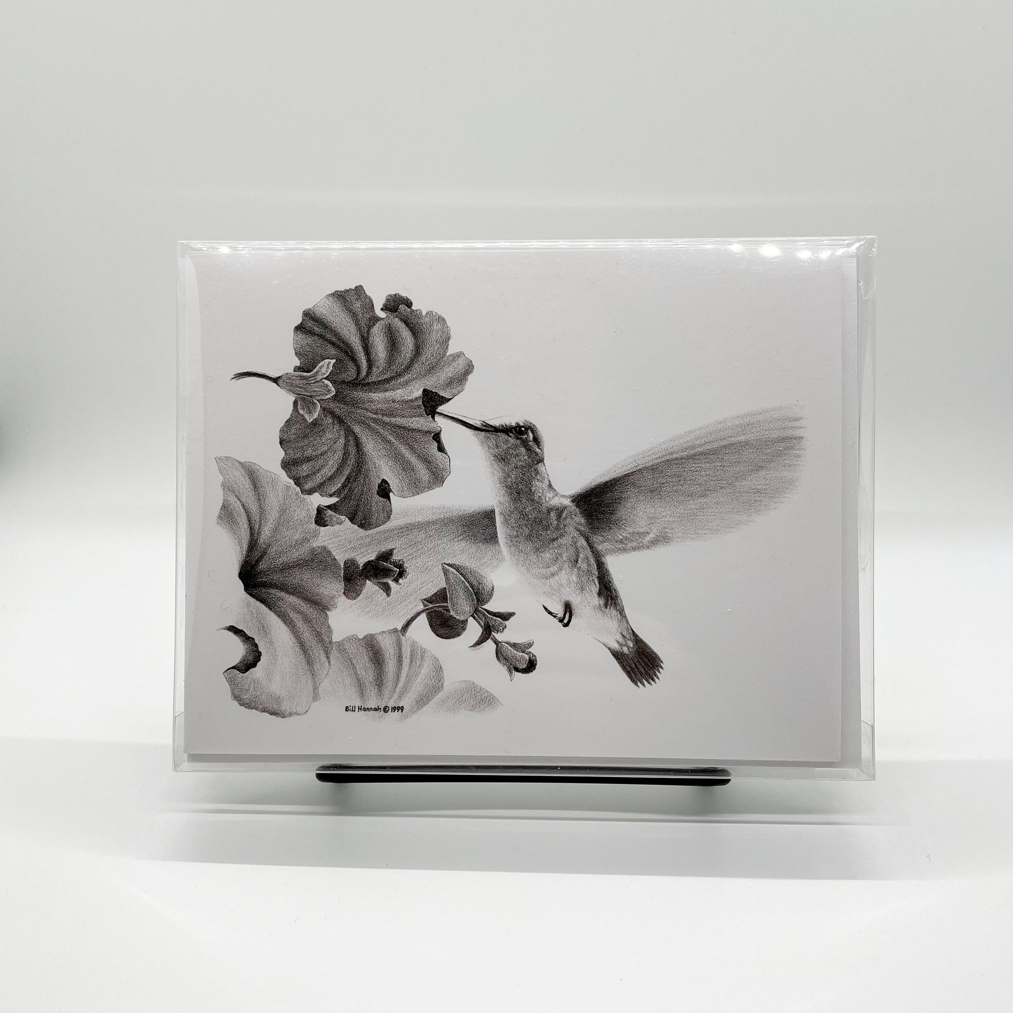 Ruby-Throated Hummingbird Greeting Card - Set of 8
