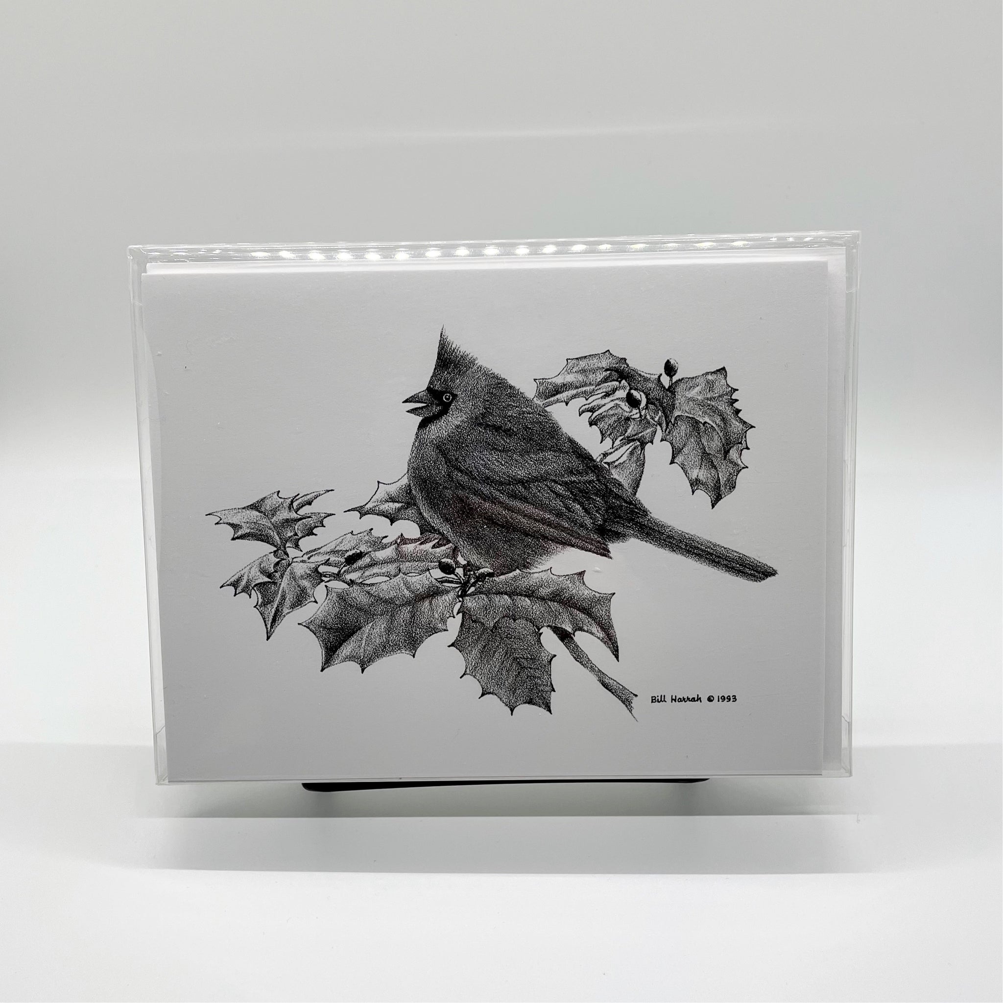 Cardinal in Winter Greeting Card - Set of 8