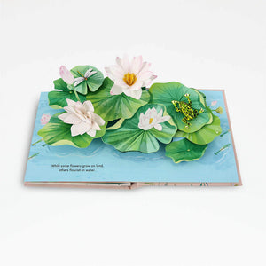 Flora - A Botanical Pop-Up Book