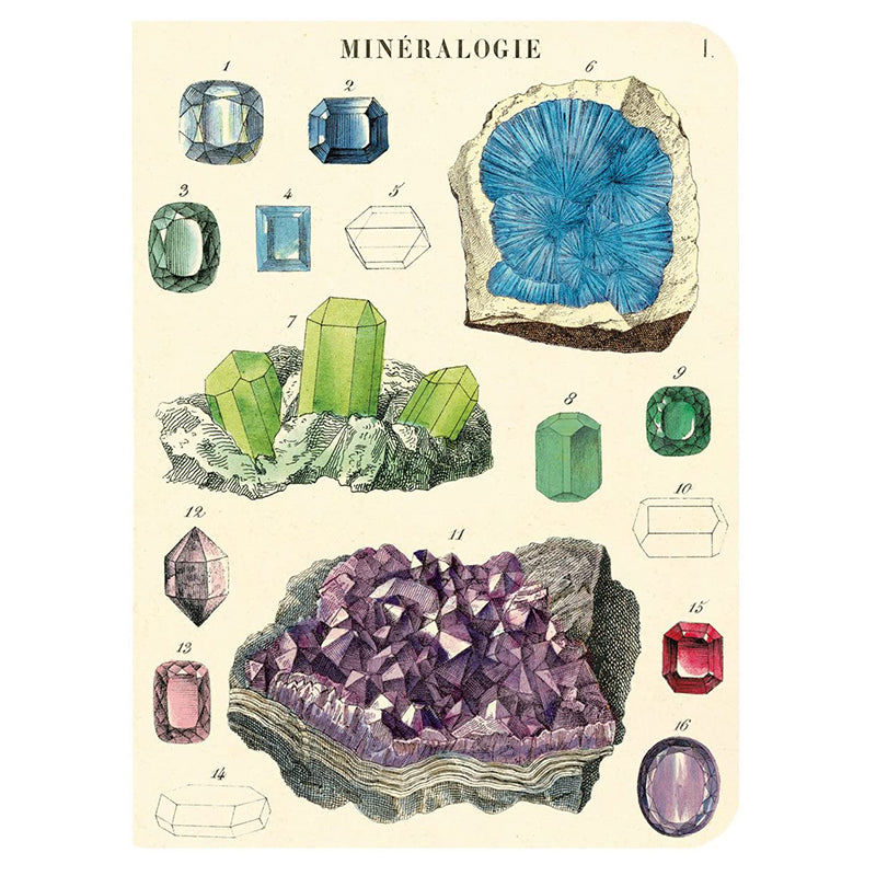 Mini Notebooks - Mineralogy