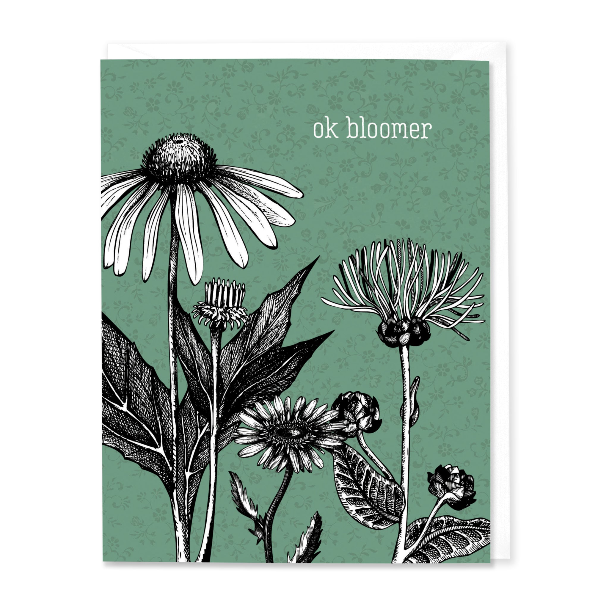 Ok Bloomer