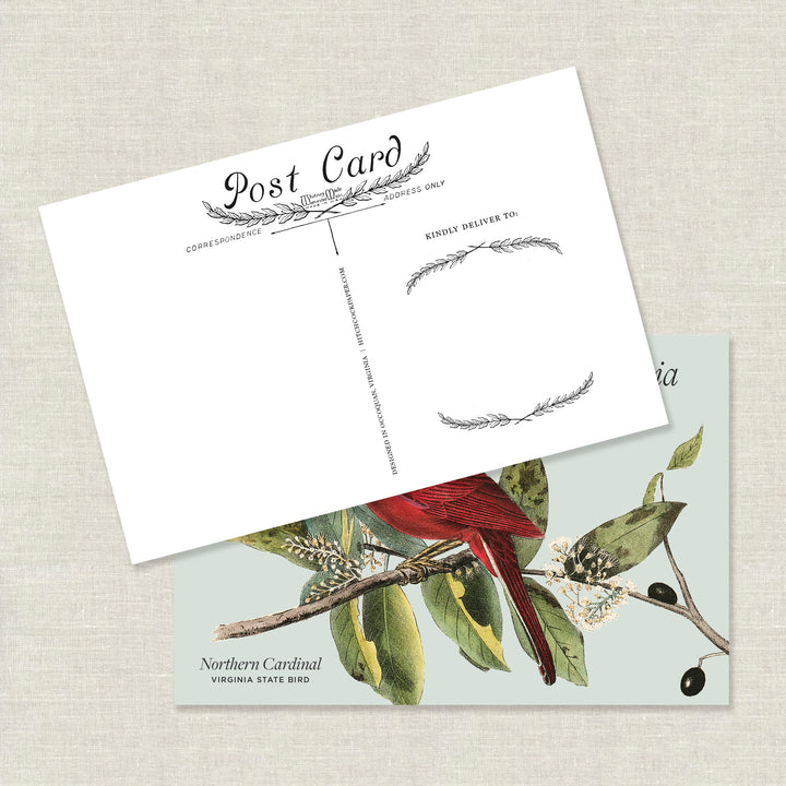 Occoquan Cardinal Postcard