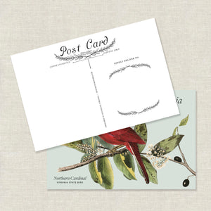 Occoquan Cardinal Postcard