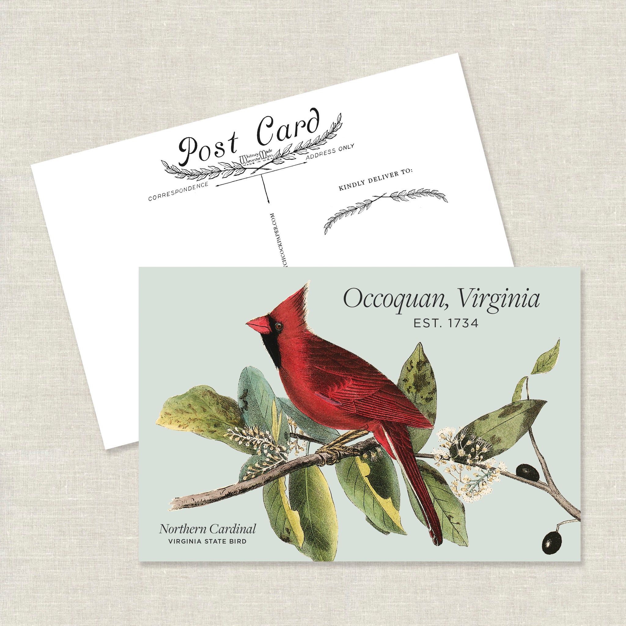 Occoquan Cardinal Postcard