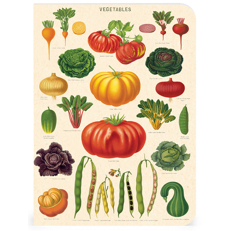 Mini Notebooks - Le Jardin