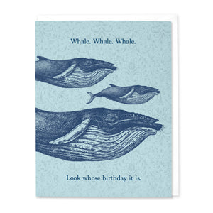 Whale. Whale. Whale. Birthday